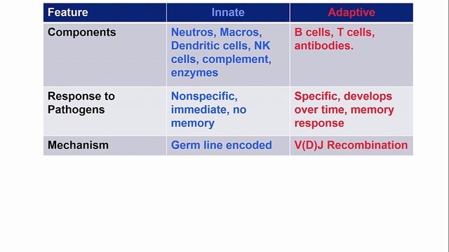 USMLE RX - 6.Иммунология - 1.Клеточные компоненты - 8.Врождённый и Адаптивный иммунитет