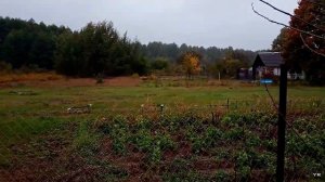 Пчёлы без опыта #13 Утепление пчёл подушкой из мха. Подкормка.