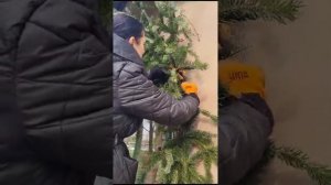 Украшение уличной двери еловыми ветками к новогодним праздникам.