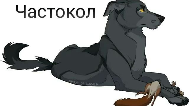 Коты-Воители в виде собак от Spirit of Alaska(Псы-Воители) смотреть онлайн