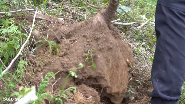 BUILD DAILY LIFE | Get Firewood, Pig Feed Making In Farm | Solo Survival смотреть онлайн