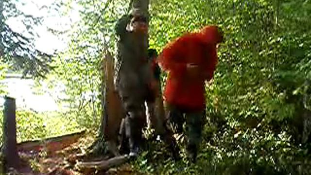 Бой кедровой шишки смотреть онлайн