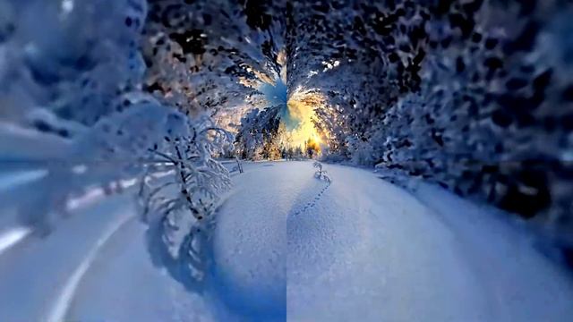 Зима Красавица 2! Winter Beauty! Зимний Лес - Страна Чудес!!! Зимняя Волшебная Сказка!