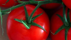 67 ЛЕТ САЖАЮ ТОЛЬКО ЭТОТ СОРТ ТОМАТОВ! Помидор НАРАСТАЮТ тонны и никогда не болеют!