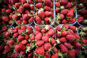 Клубника в Крыму созрела раньше срока из-за жары / События на ТВЦ