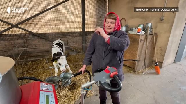 72 л молока за добу дає корова Гава: як досягти таких рекордів – знає підприємець з Чернігівщини