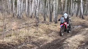 Motoland Dakar 250st небольшой прохват по лесам