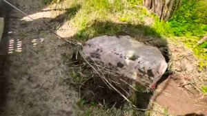 Время собирать камни Bobcat E37