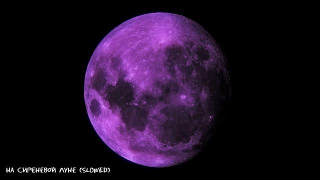 На сиреневой луне (SLOWED) смотреть онлайн