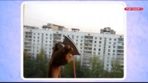 Щетка для Мытья Окон 'Татла'