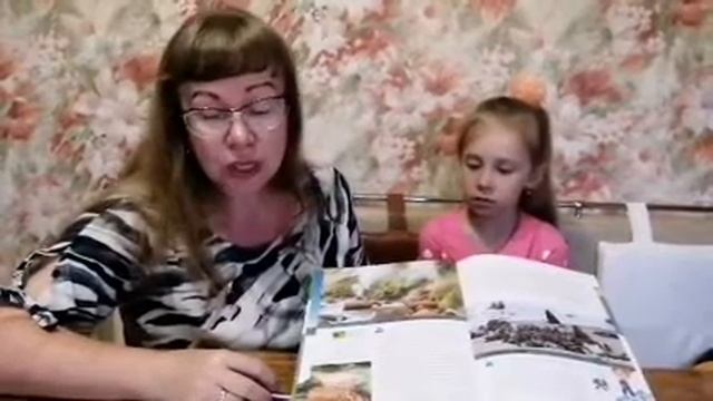 Долина гейзеров на Камчатке смотреть онлайн