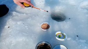 Ловля сороги(плотвы) на опарыша, закинул зимний спиннинг, поклевок было очень много