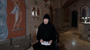 Аллергия на укусы насекомых. Чем опасны укусы комаров, пчел, ос и клещей. «Давайте жить здорово!»