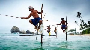 BLUE SKY BEACH RESORT 3* 
Унаватуна, Шри-Ланка🌴🌴🌴