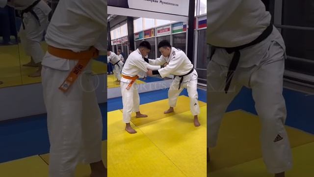 Judo Tomoe-Nage(бросок через голову с упором стопы в живот) ORTUS.KZ Тренер Пак Сергей Александрови