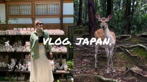 Большой влог из Японии. Ужасная пересадка в Пекине. DisneySea. Teamlab. Мир Гарри Поттера.