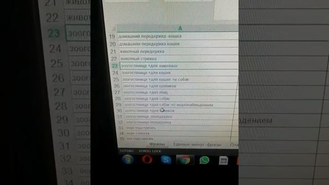 Директолог Владивосток