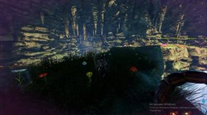 ARK  Survival Evolved артефакт охотника карта центр