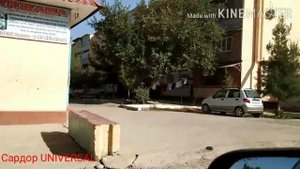 Массив заря Янгиюль