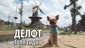 Делфт, Голландия / Woof travel — путешествия с собакой на машине