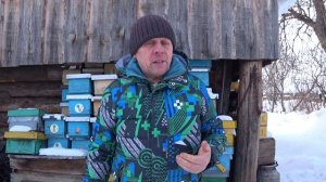 ЗИМОВКА ПЧЁЛ В УЛЬЯХ ППУ, ОТВЕТЫ НА КОММЕНТАРИИ, ПОЕХАЛ НА ПАСЕКУ..mp4