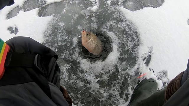 ВЫРУЧИЛ КОРМИЛЕЦ! ЛОВЛЯ КАРАСЯ ЗИМОЙ! зимняя рыбалка на карася рыбалка 2021 смотреть онлайн