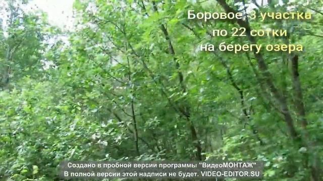 пос. Боровое (Кузнечное), 3 участка по 22 сотки на берегу озера! Можно купить! смотреть онлайн