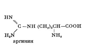 масло черного тмина. черный тмин