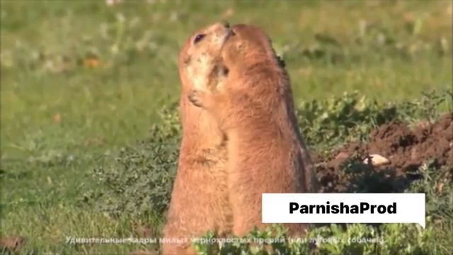 Красивый вид из окна блогеры оценят что есть на самом деле в мире ?? смотреть онлайн