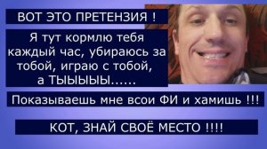 Кот решил что он дома главный. Смешной чат-переписка кота и его хозяина. 35 СЕРИЯ. Ржака до слёз