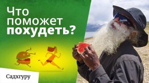 Как похудеть Мотивация и непростой совет от Садхгуру