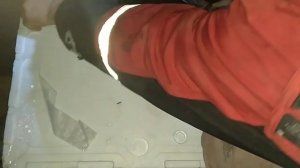 Оплодотворенная Икра Радужной Форели на стадии Глазок!