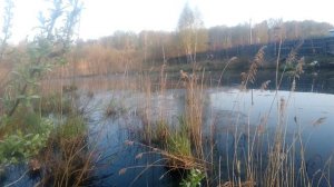 Потрясающее утро на озере