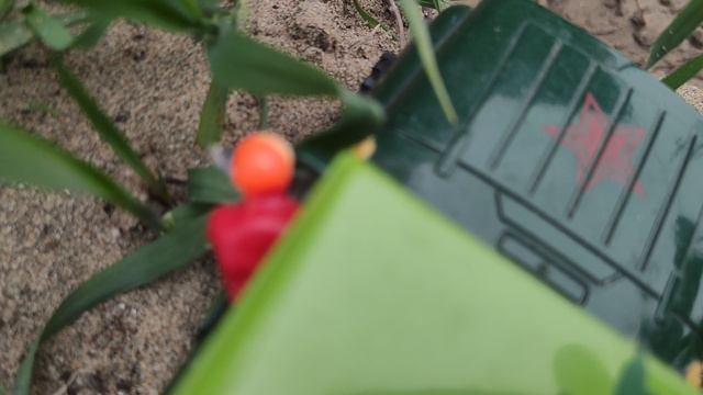 Приключения Львов на пикапе "12 серия "