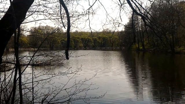 пикник измайловский парк