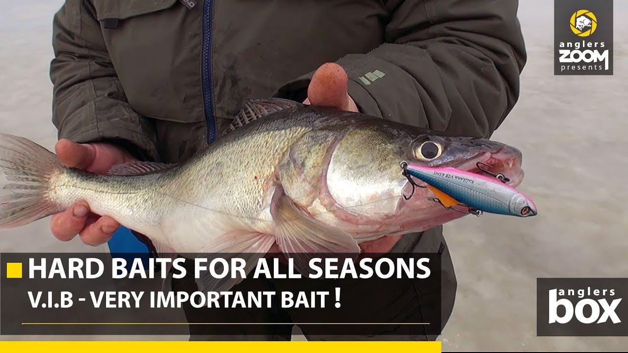 Hard Baits For All Seasons. V.I.B - Very Important Bait! Anglers Box