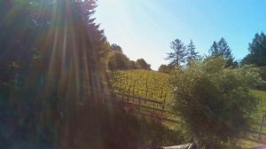 First timelapse with 5mp Raspberry pi cameraFirst timelapse with 5mp Raspberry pi camera