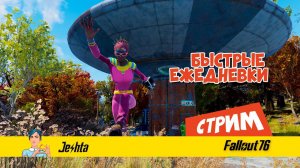 Fallout 76 ☢ Делаю ежедневки на ПК