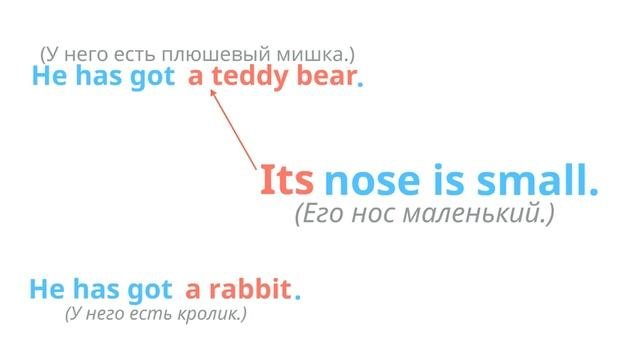 Притяжательное местоимение Its
