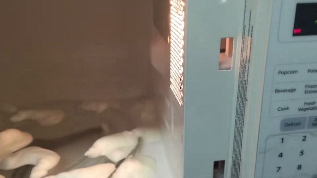 Zep miracle microwave cleaner part 1 смотреть онлайн