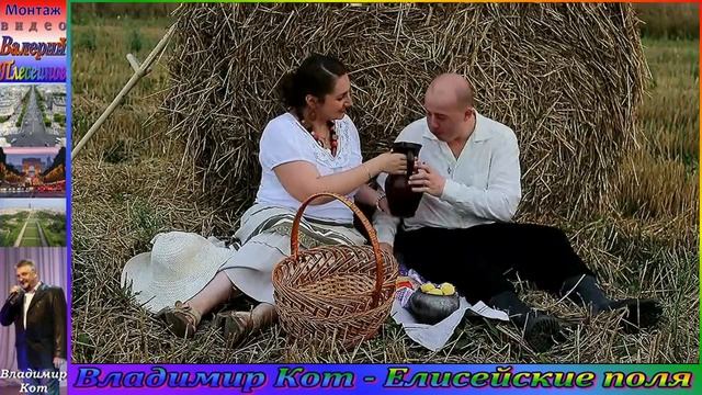 Владимир Кот Елисейские поля смотреть онлайн