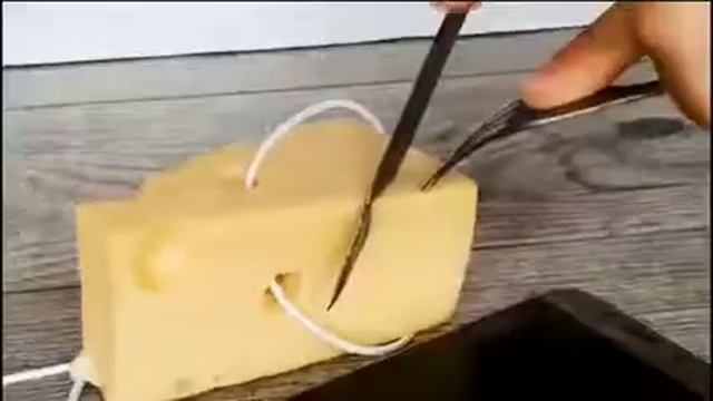 Что если наушники запутались в сыре?