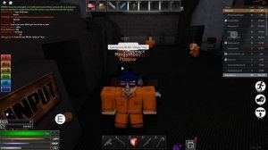 CAUSING CHAOS | ROBLOX Site 76