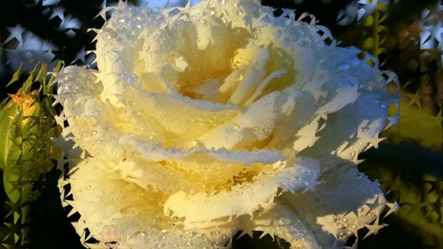 Никогда ни о чём не жалейте смотреть онлайн