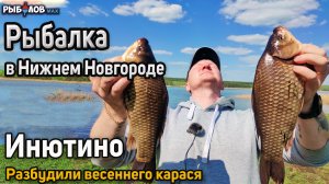 Карась в Инютино. Бешеный клев карася в мае. Рыбалка на карася весной. Ловля карася на фидер