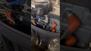 РАБОТА ЛОДОЧНОГО МОТОРА YAMAHA F 8, Нога L 508