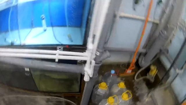 Разводня Текущее состояние смотреть онлайн