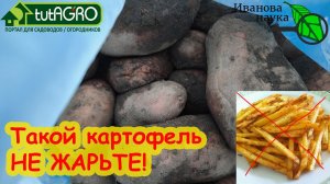 ТАКОЙ КАРТОФЕЛЬ - ЯД ДЛЯ ОРГАНИЗМА! Никогда не жарьте его. Вот  как исправить испорченный картофель.