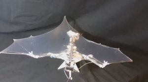 Летающий робот имитирует летучую мышь 