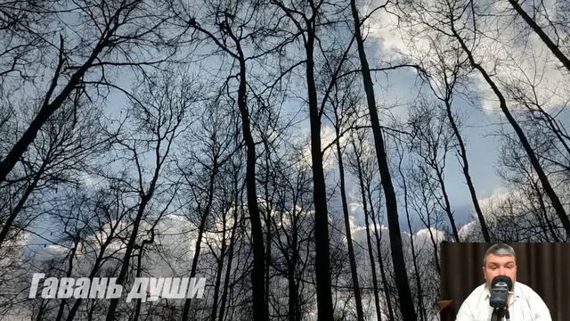 Месть бывшей